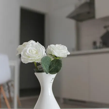 Iva Apartment